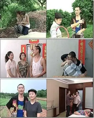《农民伯伯下乡妹》台湾农村题材剧免费在线观看-未删减版高清播放-农民伯伯下乡妹完整版全集