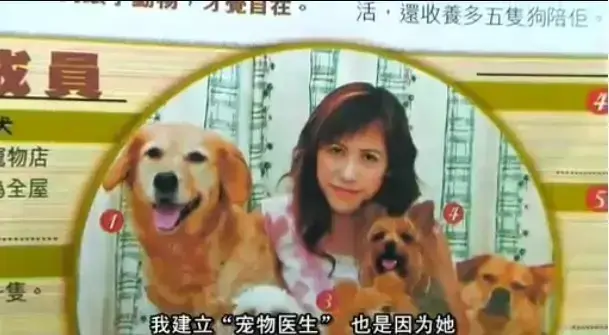 女人与狗未删减中文版在线看-《女人与狗》欧美剧HD高清免费播放-无广告流畅观看女人与狗全集夸克网盘