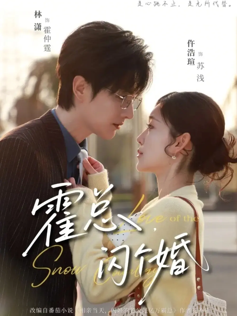 《霍总，闪个婚》相关资源图片
