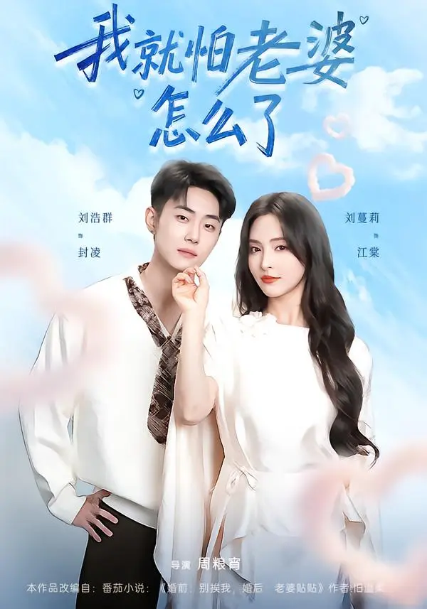 《我就怕老婆怎么了》短剧全集免费看-1080P高清画质完整版在线播放-刘浩群刘蔓莉主演无删减剧情资源