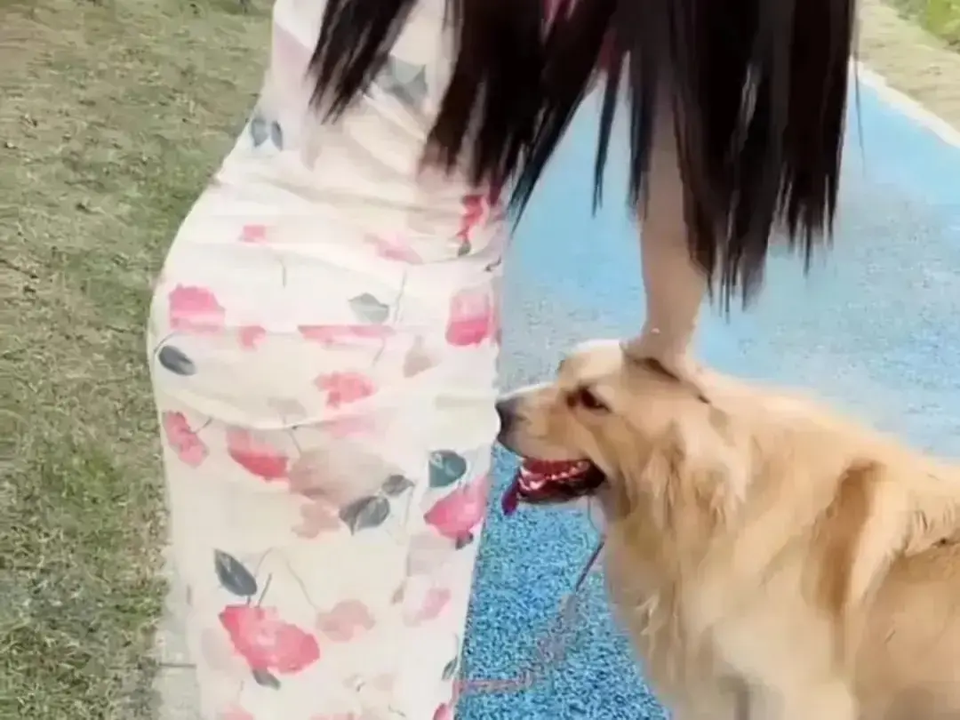 《抖音香香公主与爱犬金毛》完整版在线高清免费观看-抖音香香公主与爱犬金毛高能日常互动无广告播放-看全集尽在网盘资源