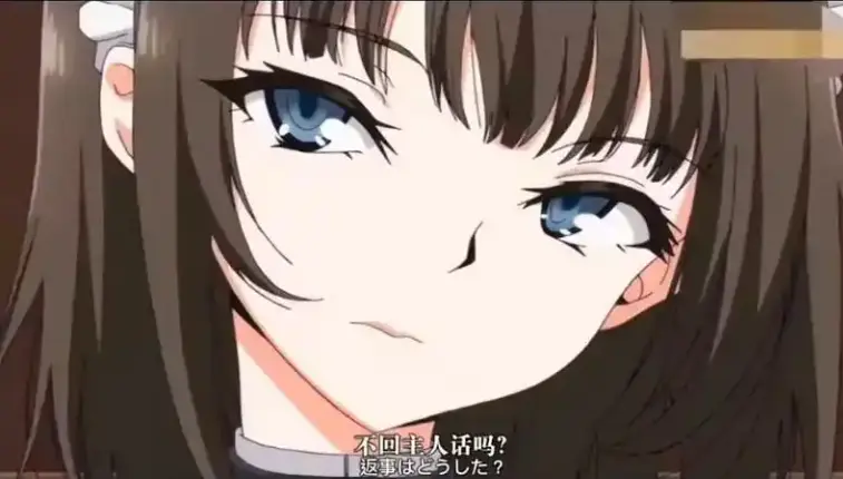 《女仆的教育》动漫第一季【1-12】全集-高清无广告在线观看-女仆的教育完整版1080P资源下载