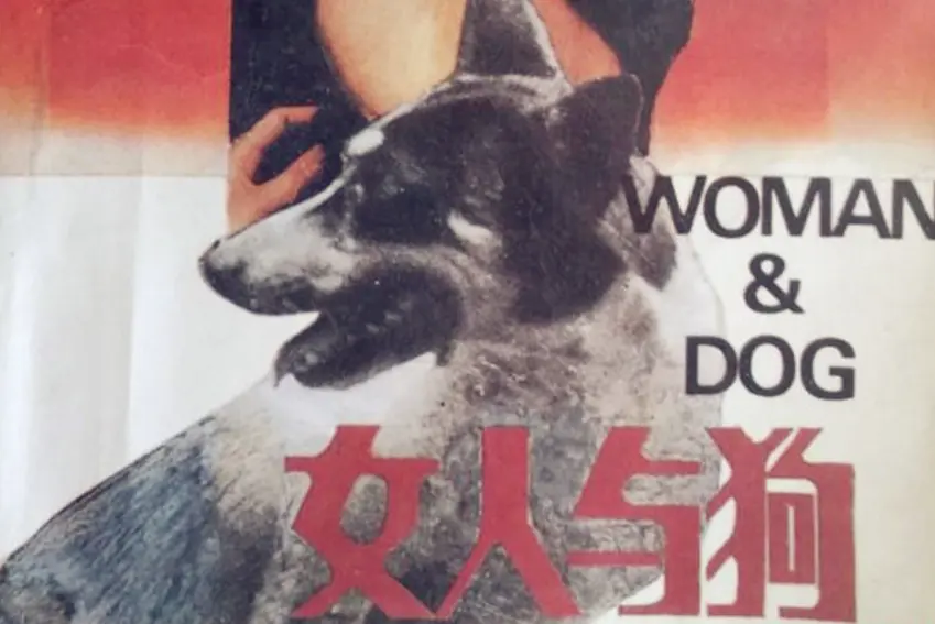 《女人与狗》俄罗斯电影HD高清在线观看-1080P完整版无删减播放-《女人与狗》大结局免费观看一口气看完