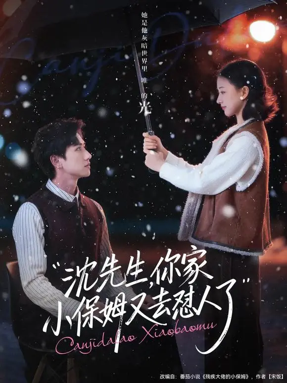 《沈先生，你家小保姆又去怼人了》-高清全集免费在线观看-82集全陈政阳廖银玥主演-网盘下载无删减资源