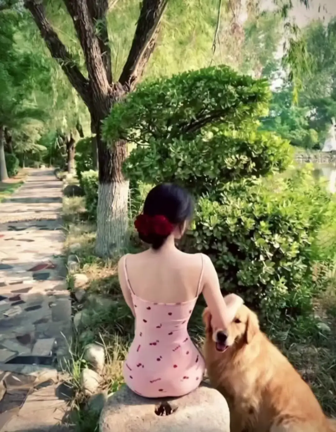 《香香公主与金毛爱犬高能瞬间》完整版限时观看-三集连播见证跨物种深情相依-诠释最本真的情感形态-香香公主与金毛爱犬暖心羁绊