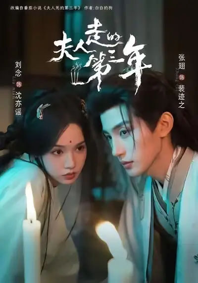 《夫人走的第三年》全季未删减免费看-高清《夫人走的第三年》全集在线播放-夫人走的第三年HD1080P资源无套路分享