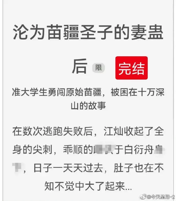 《沦为苗疆圣子的妻蛊后》全文在线阅读-完结版免费下载-狐狸雨小说百度云资源-无广告txt全集