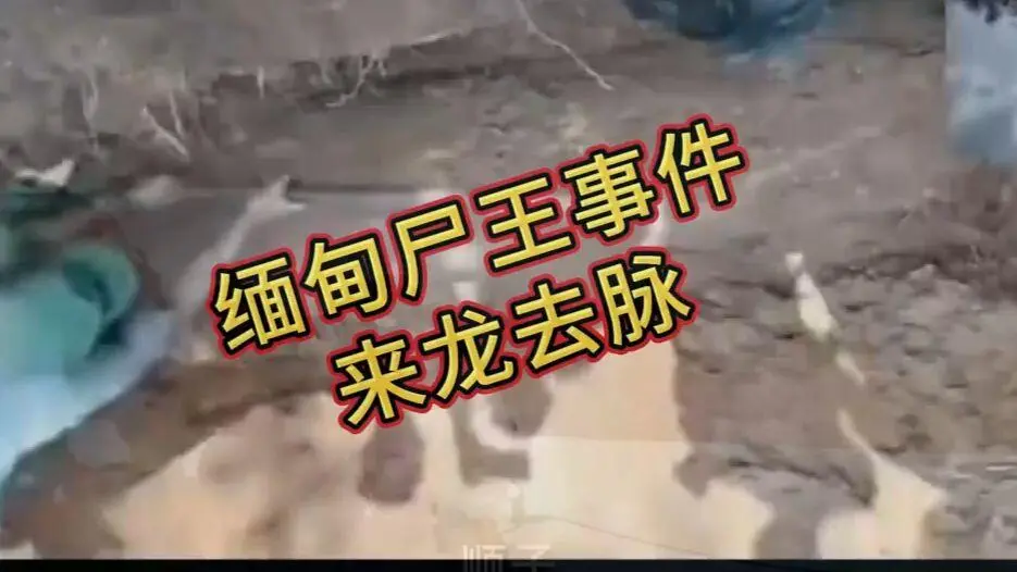缅甸僵尸出土事件视频在线观看-完整版资源免费播放-高清下载全集无删减全程录像